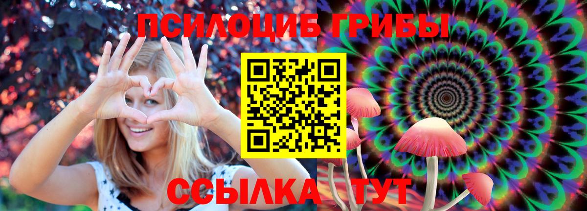 Псилоцибиновые грибы GOLDEN TEACHER Сызрань