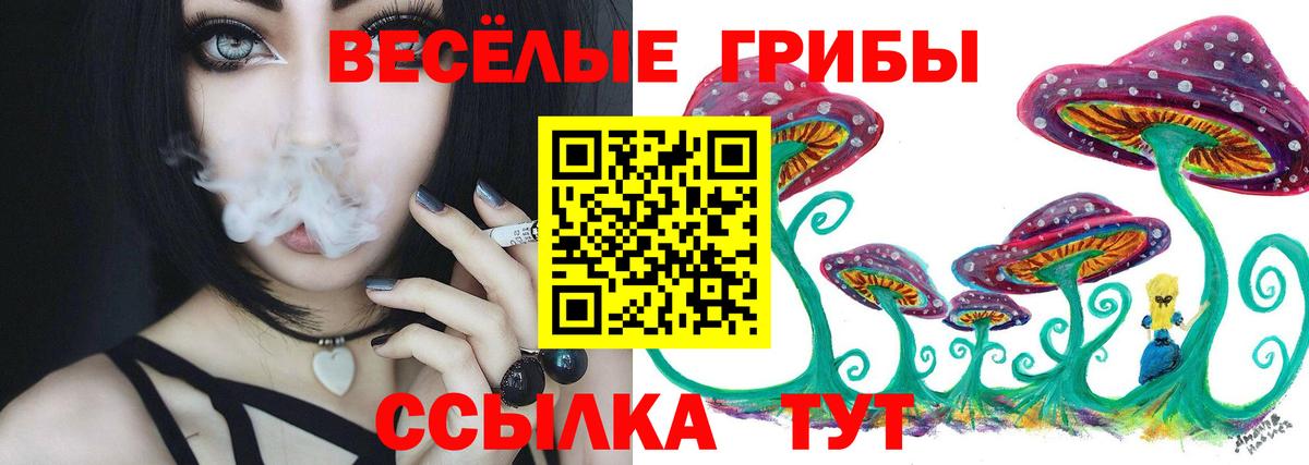 Сызрань  Галлюциногенные грибы Magic Shrooms  Вход с VPN  Псилоцибиновые грибы GOLDEN TEACHER 